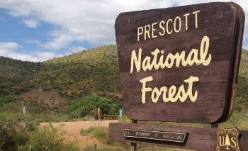 Prescott
                    national forest